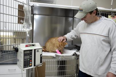 Picture of client visiting pet