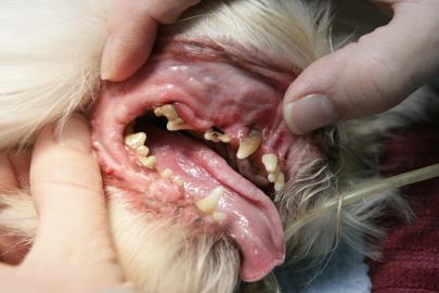 Bad teeth before the dentistry