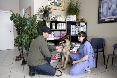 Pet Food and Supplies