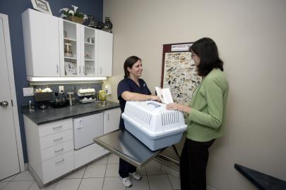 Exam Room 3
