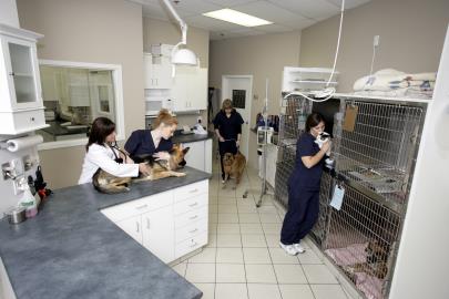 Treatment Area