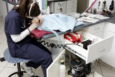 Dental Machine