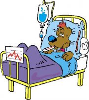 dog in hospital bed