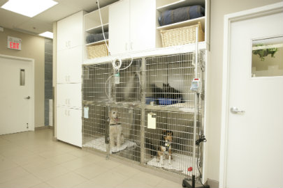 Kennels